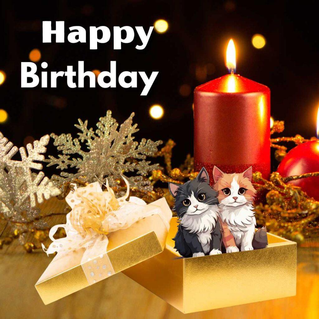 focus happy birthday wishes 29