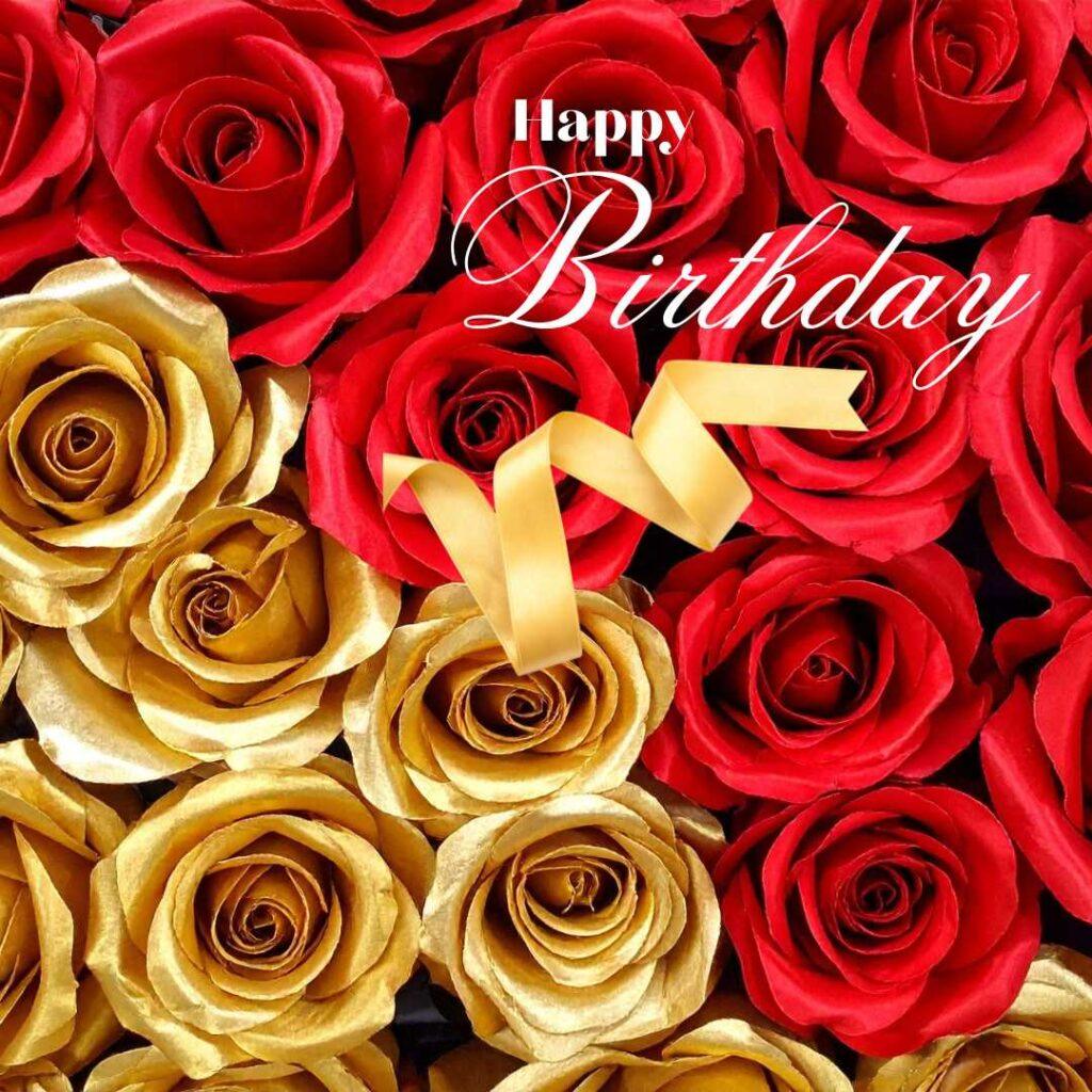 focus happy birthday wishes 30