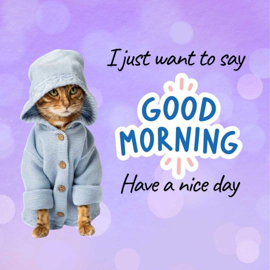 Cute brown tabby cat wearing a light blue hooded knit sweater next to Good Morning text on a purple bokeh background