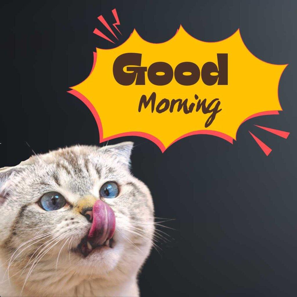 Cute grey tabby cat with blue eyes licking its nose next to a yellow spiky Good Morning speech bubble on a dark background