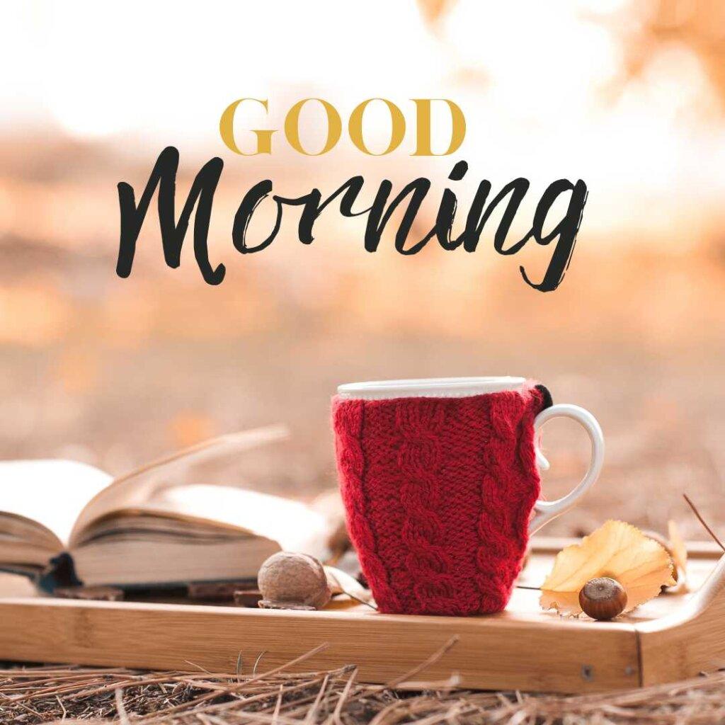 A white mug wrapped in a red knitted cozy sleeve, placed on a wooden tray alongside an open book, walnuts, and dry autumn leaves outdoors with a soft golden background and a 'Good Morning' text overlay.