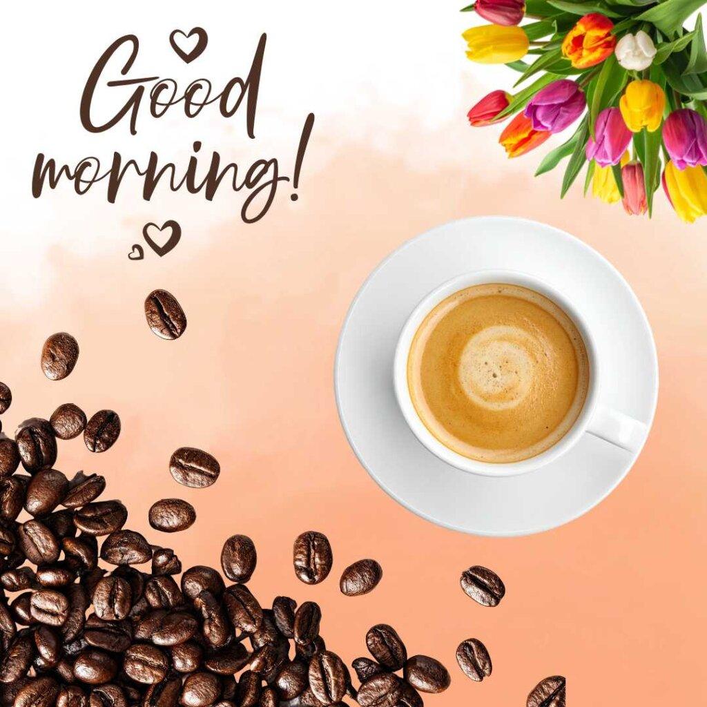 A beautiful good morning template featuring a dark coffee mug next to a fresh pink rose with green leaves on a soft pastel background, with elegant cursive white and pink text reading Good Morning.