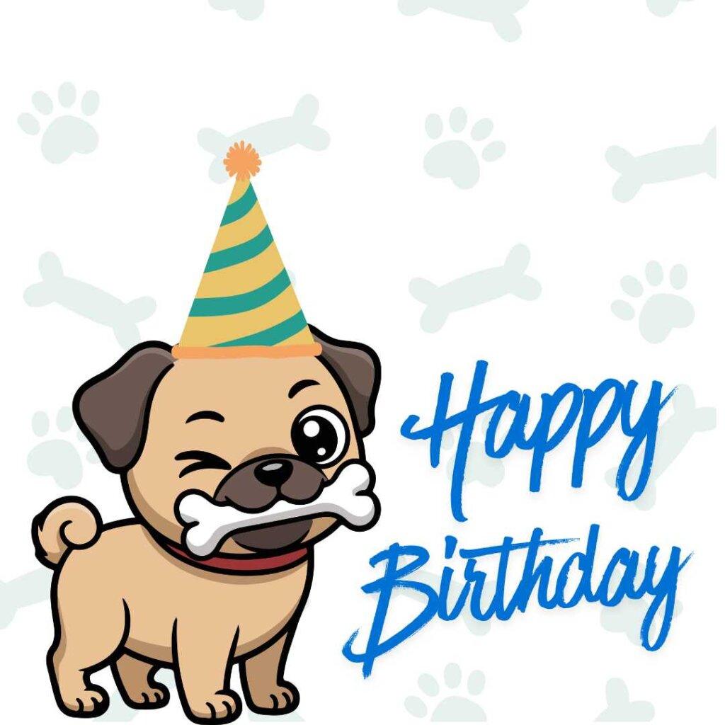 focus happy birthday wishes 10 20260507 155816 0009
