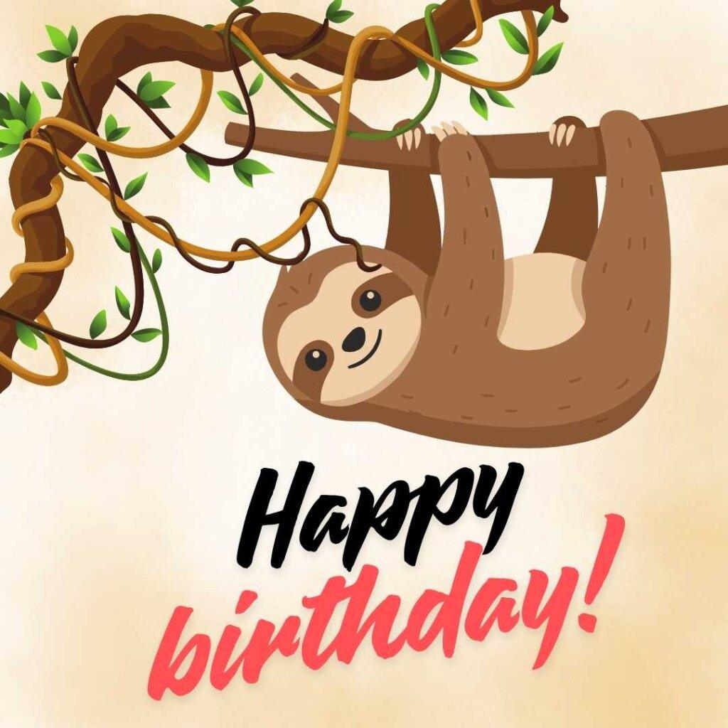 focus happy birthday wishes 13 20260507 155816 0012