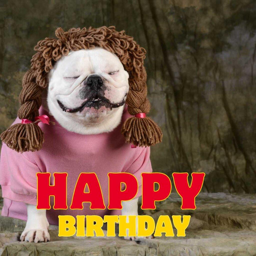 focus happy birthday wishes 16 20260507 155817 0015