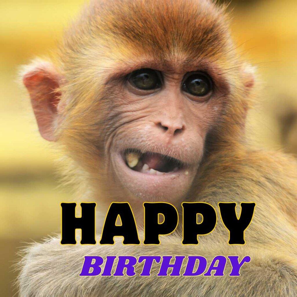 focus happy birthday wishes 17 20260507 155817 0016