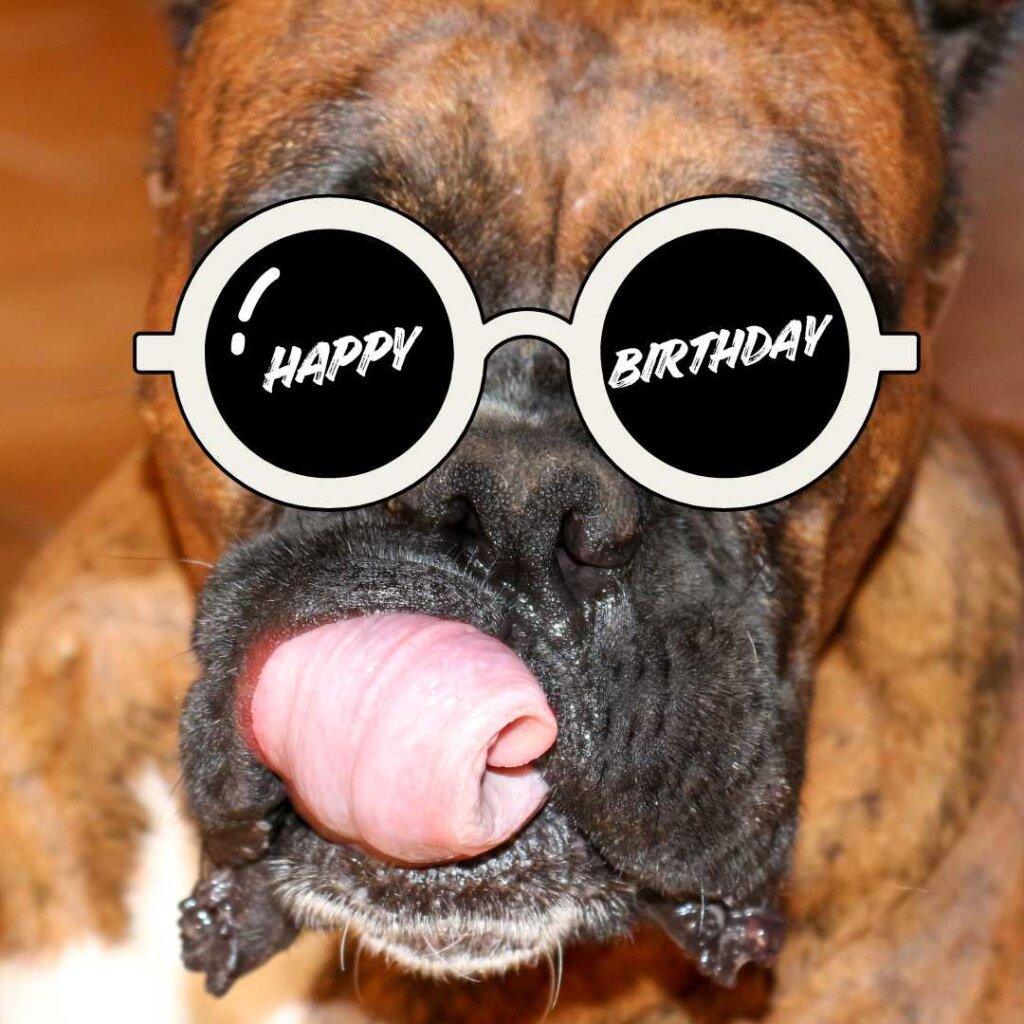 focus happy birthday wishes 18 20260507 155817 0017