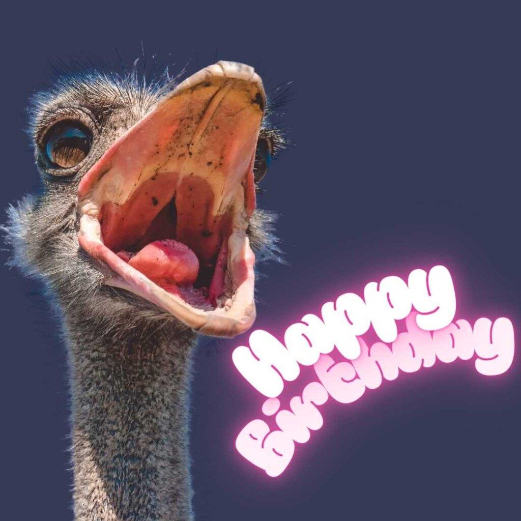 focus happy birthday wishes 19 20260507 155817 0018