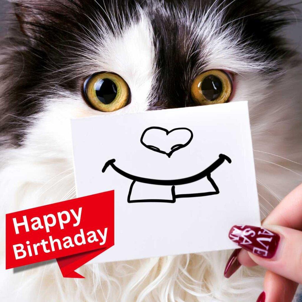 focus happy birthday wishes 1 20260507 155816 0000