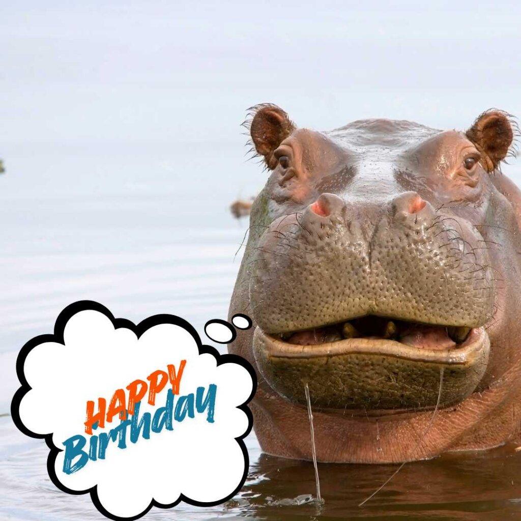 focus happy birthday wishes 22 20260507 155817 0021