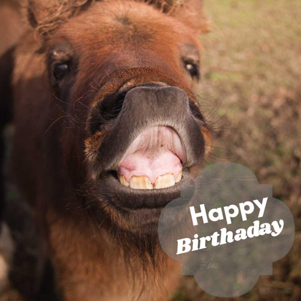 focus happy birthday wishes 3 20260507 155816 0002