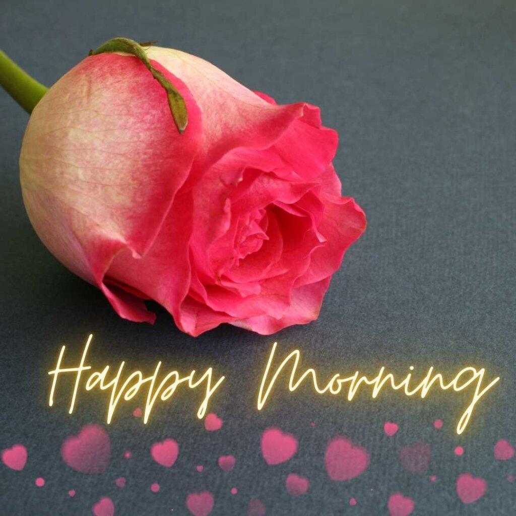focus Good Morning Images for friends happy morning pink rose hearts background 1.jpg 1